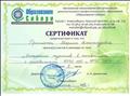 Образование Сибири, 2018